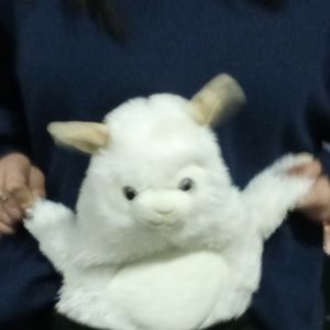 Meet your Posher, Enter